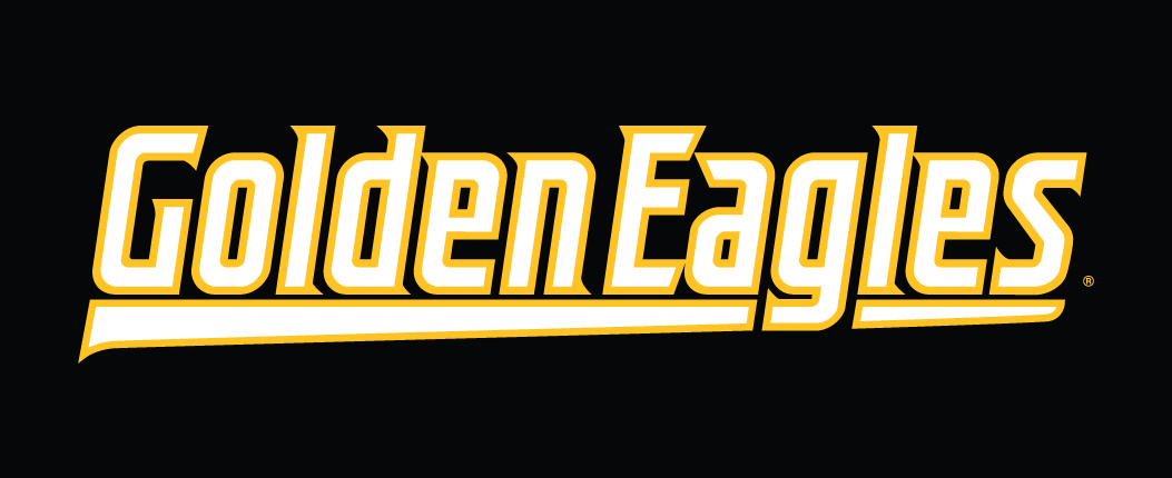 Southern Miss Golden Eagles 2003-Pres Wordmark Logo 03 vinyl decal